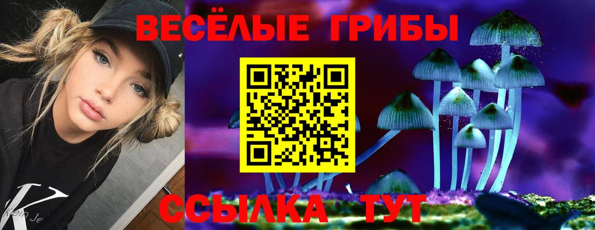 Псилоцибиновые грибы Magic Shrooms Туапсе